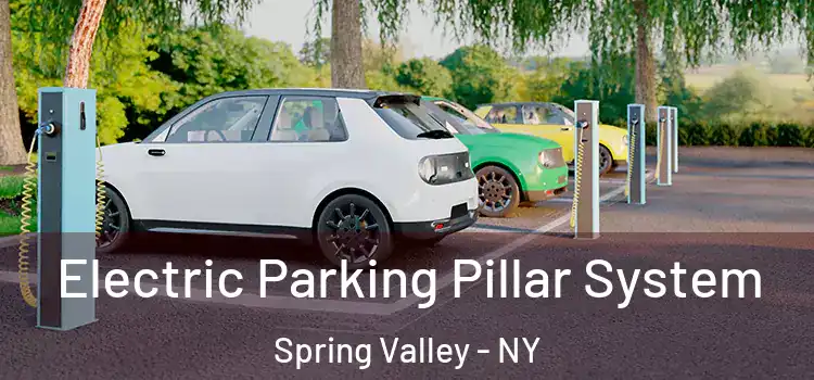 Electric Parking Pillar System Spring Valley - NY