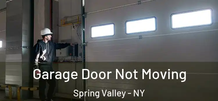  Garage Door Not Moving Spring Valley - NY
