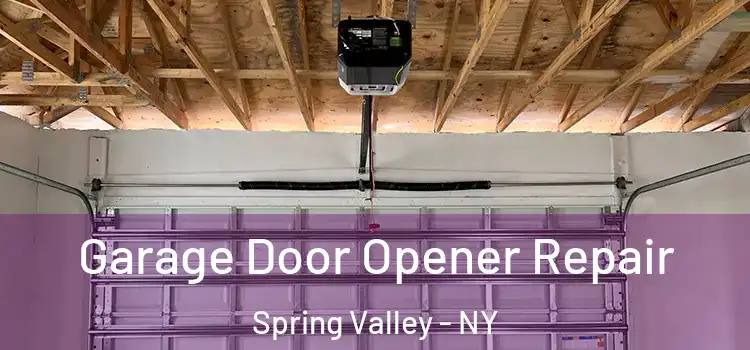  Garage Door Opener Repair Spring Valley - NY
