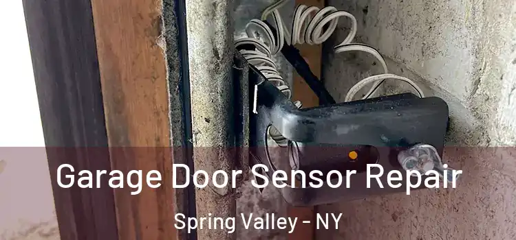 Garage Door Sensor Repair Spring Valley - NY