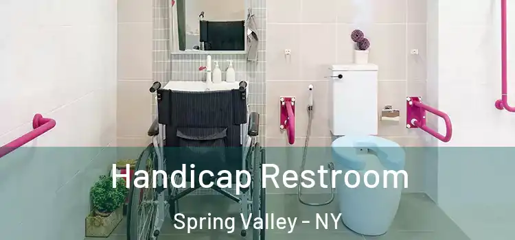 Handicap Restroom Spring Valley - NY